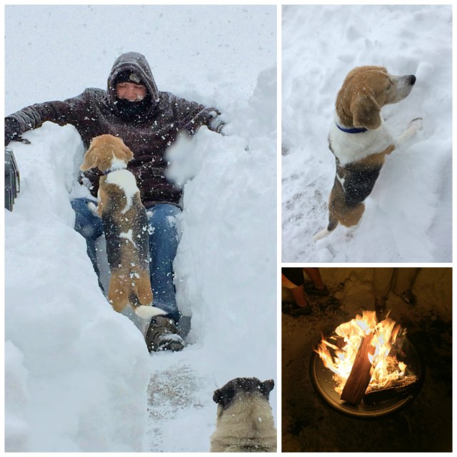 Quick & Easy Pizza Rolls from The Ruby Kitchen