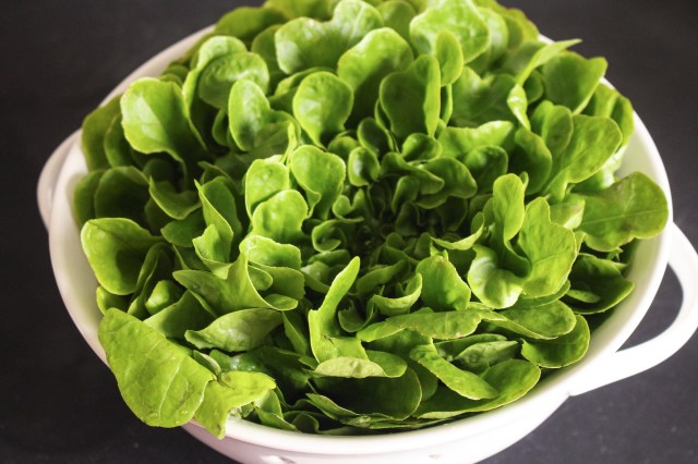 Fajita Salad with Cilantro-Lime Vinaigrette from The Ruby Kitchen 