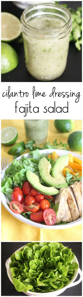 Fajita Salad with Cilantro-Lime Vinaigrette from The Ruby Kitchen 